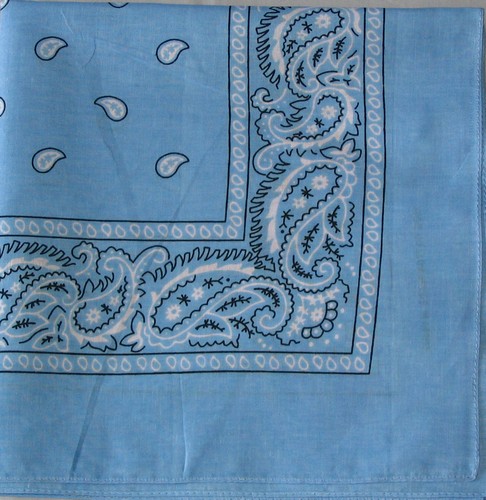 Light Blue Paisley Cotton Bandana, Wholesale